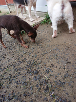 f:id:roukenhome-ann:20190630194830j:plain f:id:roukenhome-ann:20190630194830j:plain