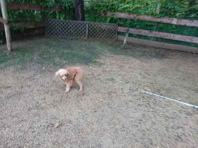 f:id:roukenhome-ann:20190630194911j:plain f:id:roukenhome-ann:20190630194911j:plain