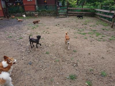 f:id:roukenhome-ann:20190630194930j:plain f:id:roukenhome-ann:20190630194930j:plain