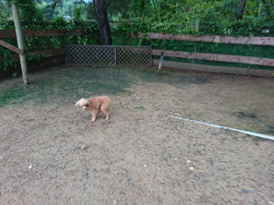 f:id:roukenhome-ann:20190630194936j:plain f:id:roukenhome-ann:20190630194936j:plain