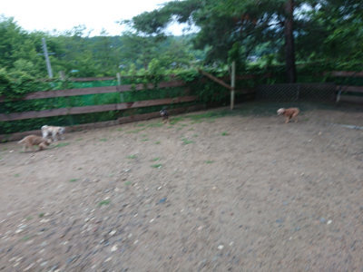 f:id:roukenhome-ann:20190630194955j:plain f:id:roukenhome-ann:20190630194955j:plain