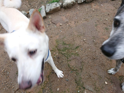 f:id:roukenhome-ann:20190630195037j:plain f:id:roukenhome-ann:20190630195037j:plain