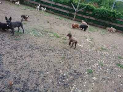 f:id:roukenhome-ann:20190630195054j:plain f:id:roukenhome-ann:20190630195054j:plain
