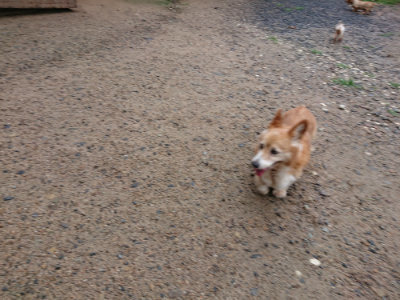f:id:roukenhome-ann:20190630195111j:plain f:id:roukenhome-ann:20190630195111j:plain