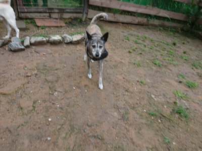 f:id:roukenhome-ann:20190630195148j:plain f:id:roukenhome-ann:20190630195148j:plain