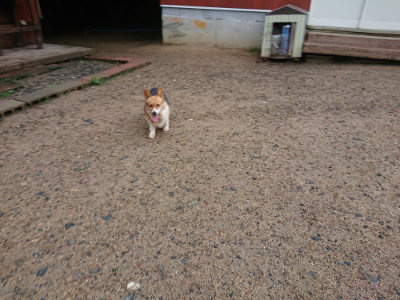 f:id:roukenhome-ann:20190630195154j:plain f:id:roukenhome-ann:20190630195154j:plain