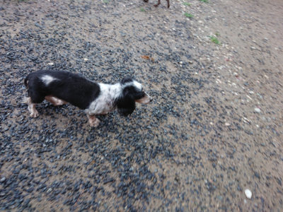 f:id:roukenhome-ann:20190630195201j:plain f:id:roukenhome-ann:20190630195201j:plain