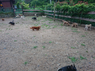 f:id:roukenhome-ann:20190630200540j:plain f:id:roukenhome-ann:20190630200540j:plain