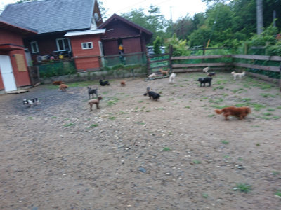 f:id:roukenhome-ann:20190630200546j:plain f:id:roukenhome-ann:20190630200546j:plain