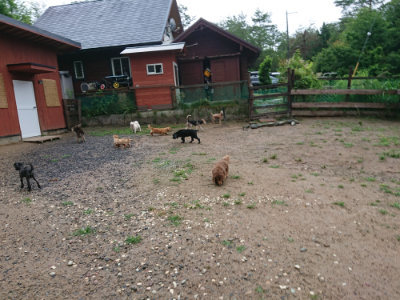 f:id:roukenhome-ann:20190630200552j:plain f:id:roukenhome-ann:20190630200552j:plain