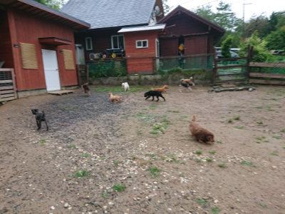 f:id:roukenhome-ann:20190630200558j:plain f:id:roukenhome-ann:20190630200558j:plain