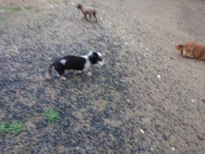 f:id:roukenhome-ann:20190630200619j:plain f:id:roukenhome-ann:20190630200619j:plain