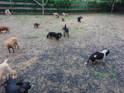 f:id:roukenhome-ann:20190630200627j:plain f:id:roukenhome-ann:20190630200627j:plain