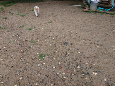 f:id:roukenhome-ann:20190630200641j:plain f:id:roukenhome-ann:20190630200641j:plain