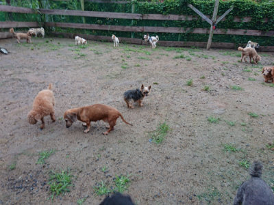 f:id:roukenhome-ann:20190630200803j:plain f:id:roukenhome-ann:20190630200803j:plain