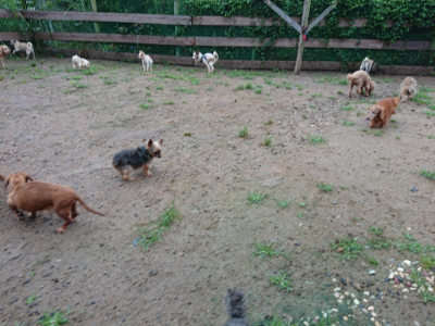 f:id:roukenhome-ann:20190630200817j:plain f:id:roukenhome-ann:20190630200817j:plain