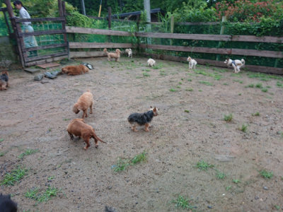 f:id:roukenhome-ann:20190630200824j:plain f:id:roukenhome-ann:20190630200824j:plain