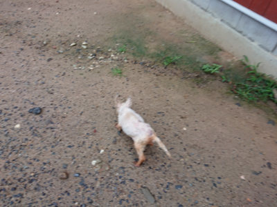 f:id:roukenhome-ann:20190630200836j:plain f:id:roukenhome-ann:20190630200836j:plain