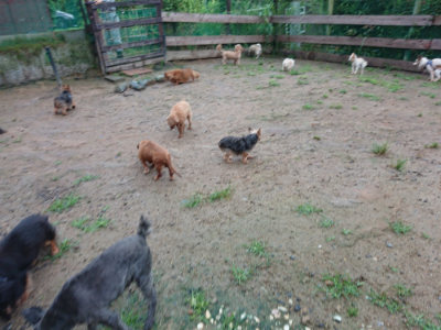 f:id:roukenhome-ann:20190630200843j:plain f:id:roukenhome-ann:20190630200843j:plain