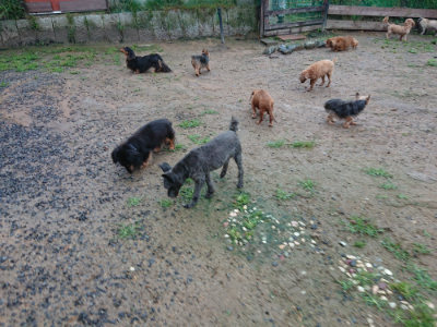 f:id:roukenhome-ann:20190630200924j:plain f:id:roukenhome-ann:20190630200924j:plain
