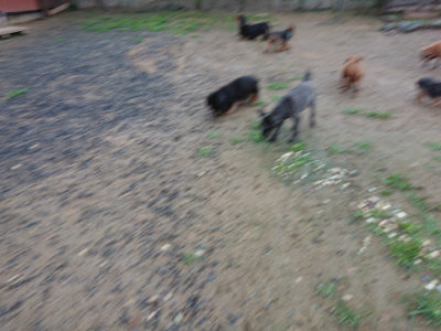 f:id:roukenhome-ann:20190630200930j:plain f:id:roukenhome-ann:20190630200930j:plain