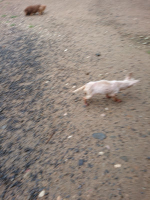 f:id:roukenhome-ann:20190630200951j:plain f:id:roukenhome-ann:20190630200951j:plain