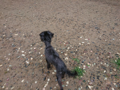 f:id:roukenhome-ann:20190630200957j:plain f:id:roukenhome-ann:20190630200957j:plain