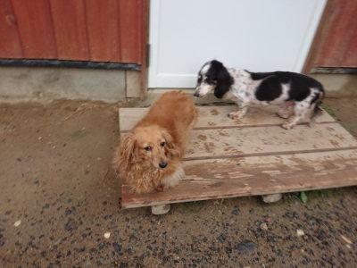 f:id:roukenhome-ann:20190630201004j:plain f:id:roukenhome-ann:20190630201004j:plain