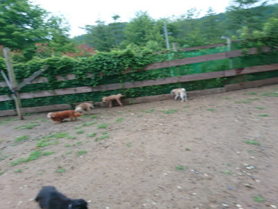 f:id:roukenhome-ann:20190630201025j:plain f:id:roukenhome-ann:20190630201025j:plain