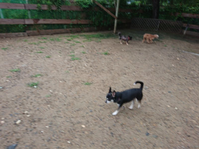 f:id:roukenhome-ann:20190630201044j:plain f:id:roukenhome-ann:20190630201044j:plain