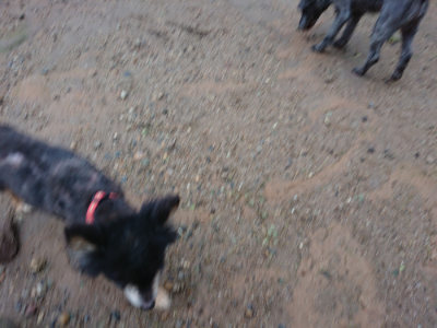 f:id:roukenhome-ann:20190630201057j:plain f:id:roukenhome-ann:20190630201057j:plain