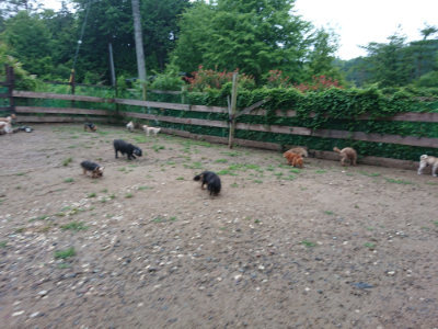 f:id:roukenhome-ann:20190630201104j:plain f:id:roukenhome-ann:20190630201104j:plain