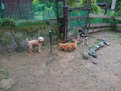 f:id:roukenhome-ann:20190630201113j:plain f:id:roukenhome-ann:20190630201113j:plain