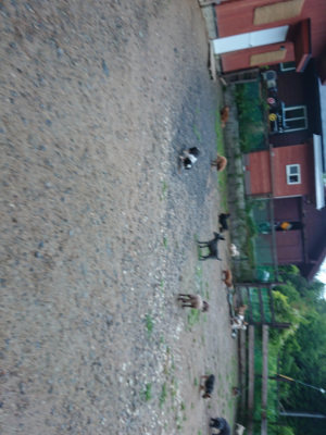 f:id:roukenhome-ann:20190630201118j:plain f:id:roukenhome-ann:20190630201118j:plain
