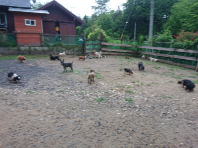 f:id:roukenhome-ann:20190630201124j:plain f:id:roukenhome-ann:20190630201124j:plain