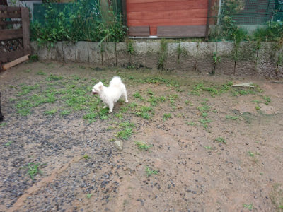 f:id:roukenhome-ann:20190630201130j:plain f:id:roukenhome-ann:20190630201130j:plain