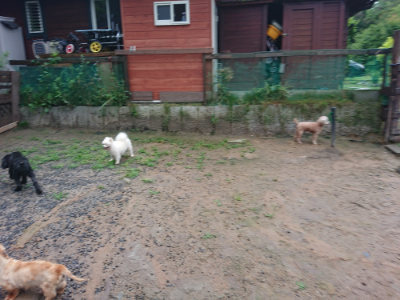 f:id:roukenhome-ann:20190630201148j:plain f:id:roukenhome-ann:20190630201148j:plain