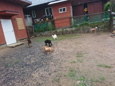 f:id:roukenhome-ann:20190630201211j:plain f:id:roukenhome-ann:20190630201211j:plain