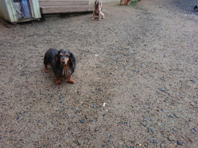 f:id:roukenhome-ann:20190630201223j:plain f:id:roukenhome-ann:20190630201223j:plain