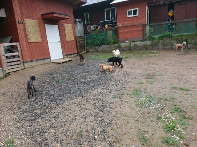 f:id:roukenhome-ann:20190630201237j:plain f:id:roukenhome-ann:20190630201237j:plain