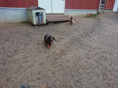 f:id:roukenhome-ann:20190630201244j:plain f:id:roukenhome-ann:20190630201244j:plain