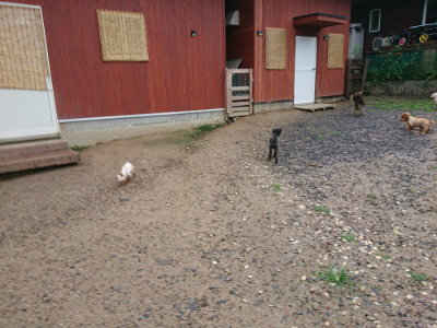 f:id:roukenhome-ann:20190630201249j:plain f:id:roukenhome-ann:20190630201249j:plain