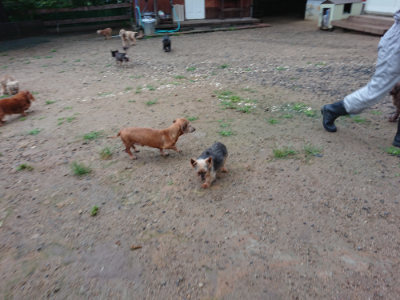 f:id:roukenhome-ann:20190630202111j:plain f:id:roukenhome-ann:20190630202111j:plain