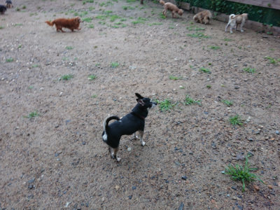 f:id:roukenhome-ann:20190630202135j:plain f:id:roukenhome-ann:20190630202135j:plain