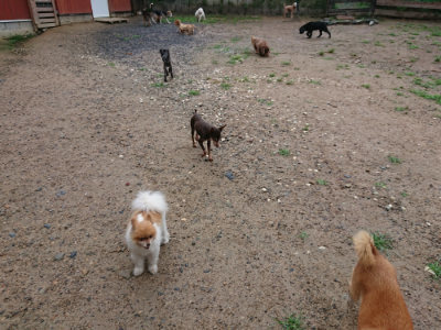 f:id:roukenhome-ann:20190630202145j:plain f:id:roukenhome-ann:20190630202145j:plain