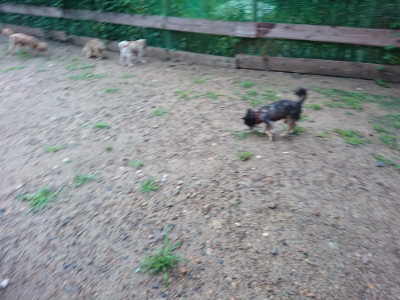 f:id:roukenhome-ann:20190630202153j:plain f:id:roukenhome-ann:20190630202153j:plain