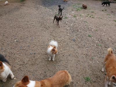 f:id:roukenhome-ann:20190630202206j:plain f:id:roukenhome-ann:20190630202206j:plain