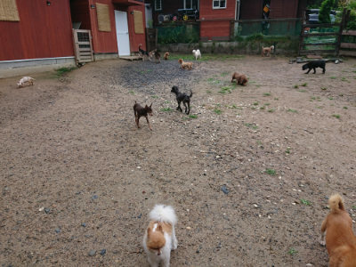 f:id:roukenhome-ann:20190630202227j:plain f:id:roukenhome-ann:20190630202227j:plain