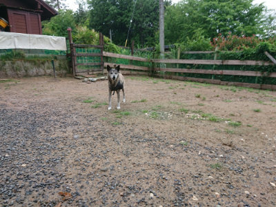 f:id:roukenhome-ann:20190630202334j:plain f:id:roukenhome-ann:20190630202334j:plain