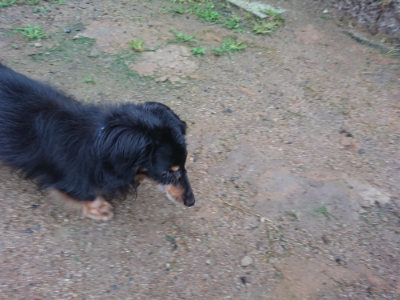 f:id:roukenhome-ann:20190630202436j:plain f:id:roukenhome-ann:20190630202436j:plain